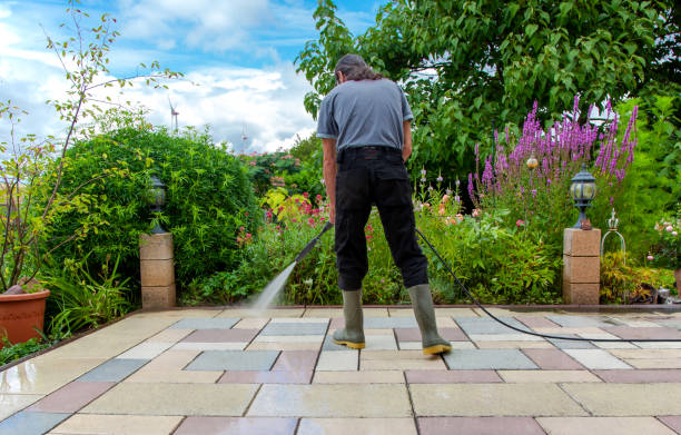Best Fence Cleaning and Maintenance in Mount Sterling, KY